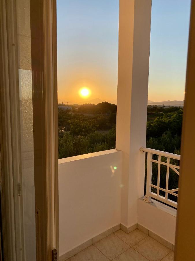 Sunset View Apartment, In The Nature, At Zipari "6" Zipárion エクステリア 写真