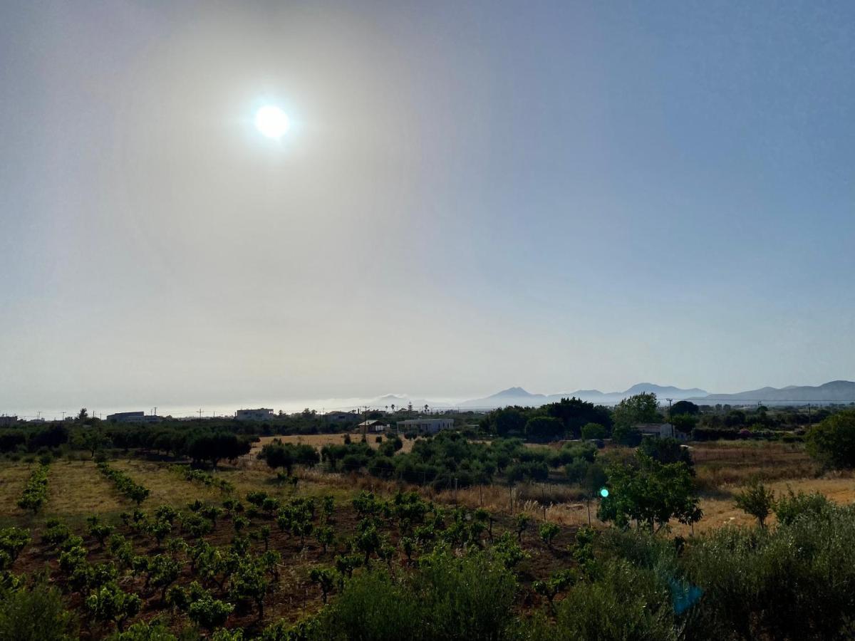 Sunset View Apartment, In The Nature, At Zipari "6" Zipárion エクステリア 写真